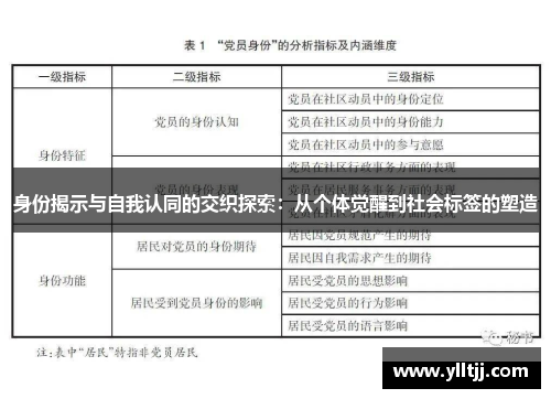 身份揭示与自我认同的交织探索：从个体觉醒到社会标签的塑造